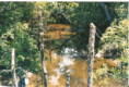 /album/fazenda-dianopolis-to/a03-png/