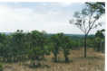 /album/fazenda-dianopolis-to/a05-png/