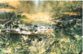 /album/fazenda-dianopolis-to/a06-png/