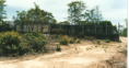 /album/fazenda-dianopolis-to/chaim-png/